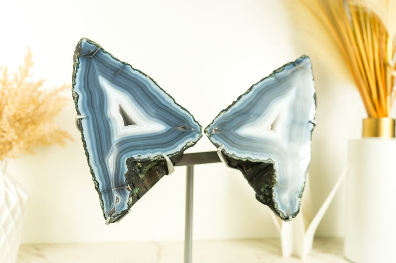 White and Blue Lace Agate Butterfly Geode Wings with Flawless Agate and Amethyst Druzy