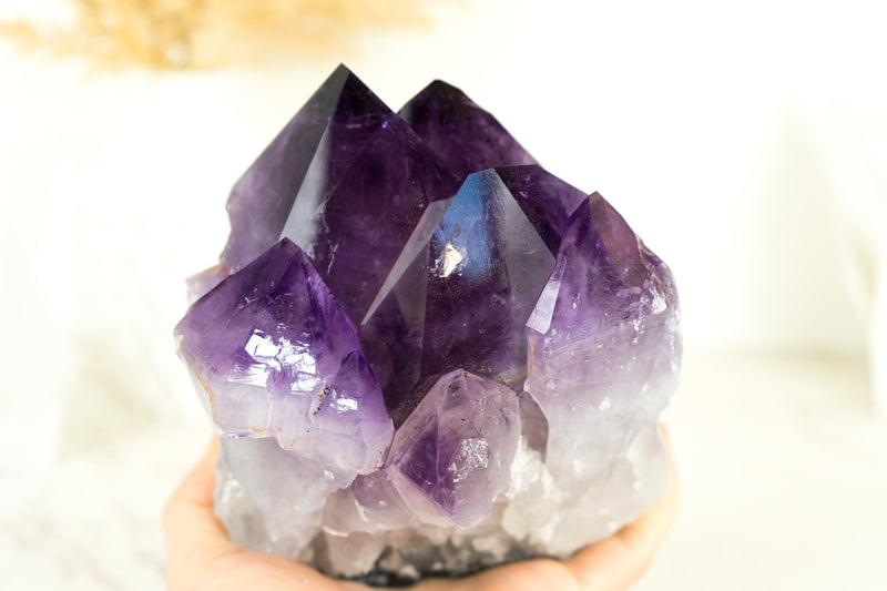 Dunkel gesättigter Amethyst-Cluster mit AAA-lila Amethyst-Druzy-Punkten