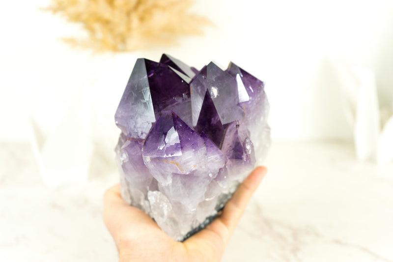 Dunkel gesättigter Amethyst-Cluster mit AAA-lila Amethyst-Druzy-Punkten