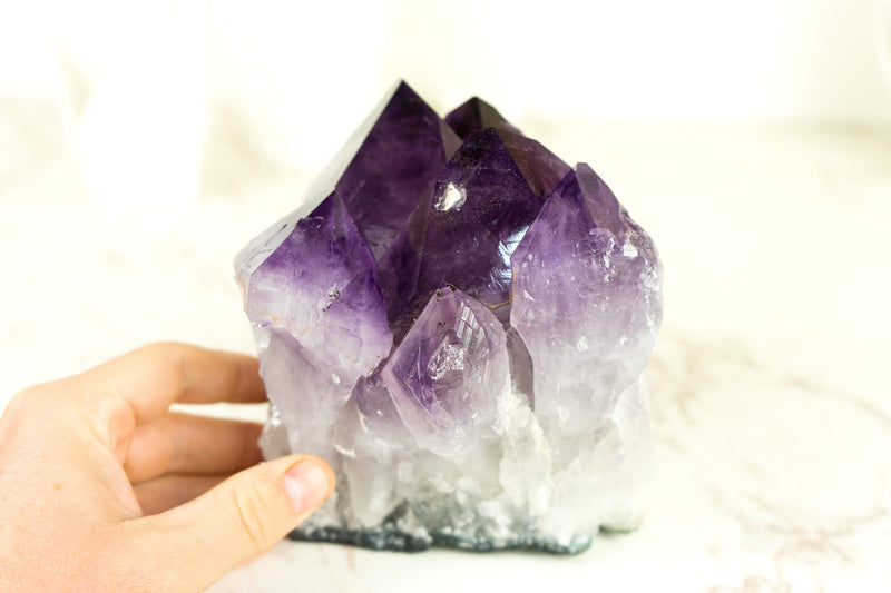 Dunkel gesättigter Amethyst-Cluster mit AAA-lila Amethyst-Druzy-Punkten