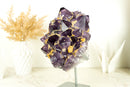 Natural AAA Purple Amethyst Cluster with Yellow Calcite, Collector Grade Brazilian Amethyst