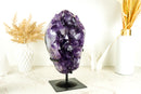 Large Purple Amethyst Cluster with AAA Display grade Deep Purple Amethyst