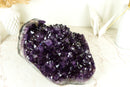 Stunning X-Large Amethyst Geode Flower with AAA Dark Purple Amethyst Druzy