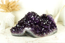 Stunning X-Large Amethyst Geode Flower with AAA Dark Purple Amethyst Druzy