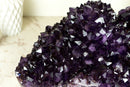 Stunning X-Large Amethyst Geode Flower with AAA Dark Purple Amethyst Druzy