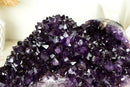 Stunning X-Large Amethyst Geode Flower with AAA Dark Purple Amethyst Druzy