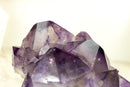 Seltener intakter Amethyst-Cluster mit violetten Phantomkristall-Spitzen aus Brasilien