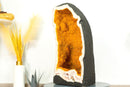 Gorgeous Large Citrine Geode with Rare Golden Yellow Galaxy Druzy - 49 Kg - 107 lb - E2D Crystals & Minerals