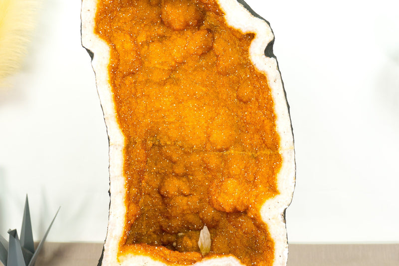 Gorgeous Large Citrine Geode with Rare Golden Yellow Galaxy Druzy - 49 Kg - 107 lb - E2D Crystals & Minerals
