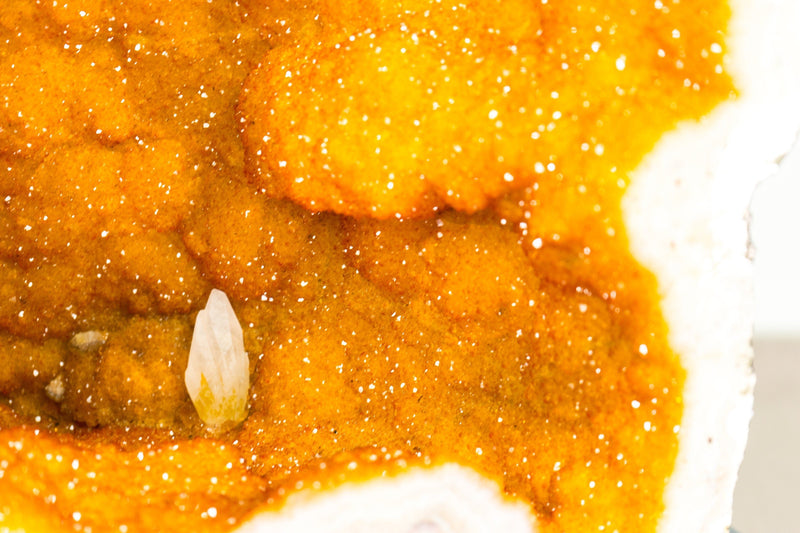 Gorgeous Large Citrine Geode with Rare Golden Yellow Galaxy Druzy - 49 Kg - 107 lb - E2D Crystals & Minerals