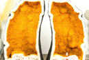 Pair of Bookmatching Statement Citrine Geodes with Golden Yellow Galaxy Druzy - 49.0 Kg - 108 lb - E2D Crystals & Minerals