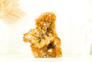Display Grade Citrine Flower Cluster with Madeira Citrine Druzy and Goethite Inclusions, Self-Standing - 1.4 Kg - 3.1 lb - E2D Crystals & Minerals