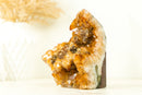 Display Grade Citrine Flower Cluster with Madeira Citrine Druzy and Goethite Inclusions, Self-Standing - 1.4 Kg - 3.1 lb - E2D Crystals & Minerals