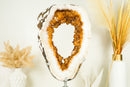 Rare Citrine Geode Slice with a Crown Formation and AAA Golden Orange Citrine Druzy on a Rotating Stand - E2D Crystals & Minerals