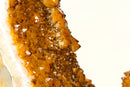 Rare Citrine Geode Slice with a Crown Formation and AAA Golden Orange Citrine Druzy on a Rotating Stand - E2D Crystals & Minerals