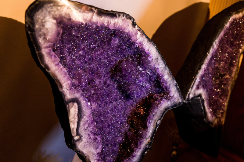 World Class Sugar Druzy Amethyst Geodes, Large and Tall Gallery Grade Amethyst Angel/Butterfly Wings Geodes