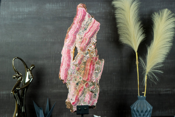 X-Large Rhodochrosite Stalactite Slab from Capillitas Mine, Argentina