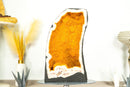 Rare Citrine Geode with World-Class Golden Yellow Galaxy Druzy - 49.0 Kg - 108 lb - E2D Crystals & Minerals