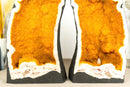 Pair of Bookmatching Statement Citrine Geodes with Golden Yellow Galaxy Druzy - 49.0 Kg - 108 lb - E2D Crystals & Minerals