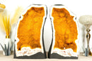 Pair of Bookmatching Statement Citrine Geodes with Golden Yellow Galaxy Druzy - 49.0 Kg - 108 lb - E2D Crystals & Minerals
