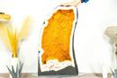 Pair of Bookmatching Statement Citrine Geodes with Golden Yellow Galaxy Druzy - 49.0 Kg - 108 lb - E2D Crystals & Minerals