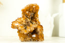 Display Grade Citrine Flower Cluster with Madeira Citrine Druzy and Goethite Inclusions, Self-Standing - 1.4 Kg - 3.1 lb - E2D Crystals & Minerals
