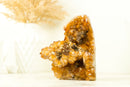 Display Grade Citrine Flower Cluster with Madeira Citrine Druzy and Goethite Inclusions, Self-Standing - 1.4 Kg - 3.1 lb - E2D Crystals & Minerals