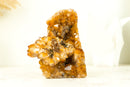 Display Grade Citrine Flower Cluster with Madeira Citrine Druzy and Goethite Inclusions, Self-Standing - 1.4 Kg - 3.1 lb - E2D Crystals & Minerals