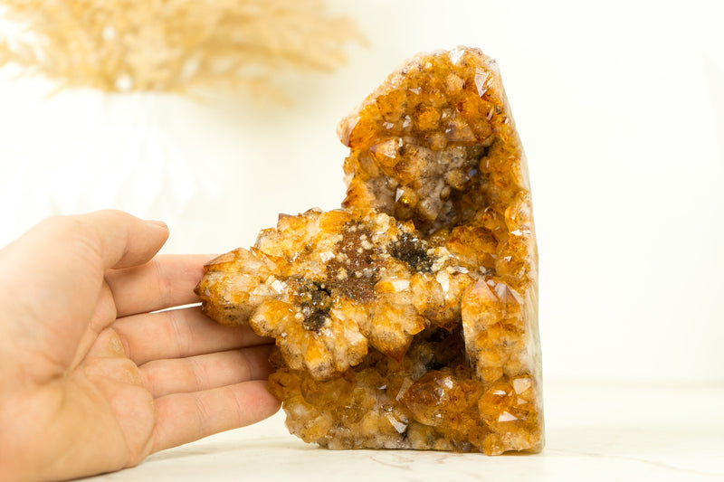 Display Grade Citrine Flower Cluster with Madeira Citrine Druzy and Goethite Inclusions, Self-Standing - 1.4 Kg - 3.1 lb - E2D Crystals & Minerals