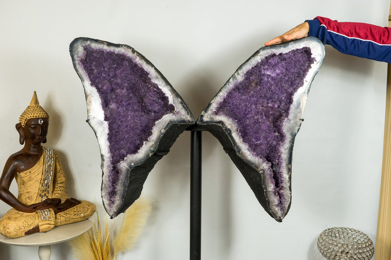 World Class Sugar Druzy Amethyst Geodes, Large and Tall Gallery Grade Amethyst Angel/Butterfly Wings Geodes