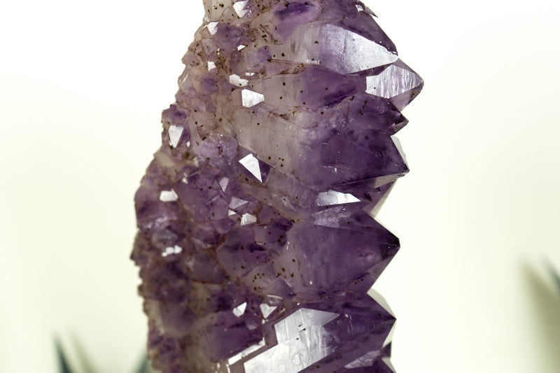 Deep Purple Amethyst Cluster with Sparkly, Display Quality Amethyst Druzy with Golden Goethite