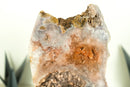 Pink Amethyst Geode Slice with Botryoidal Druzy, Super Extra Grade