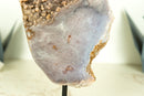 Pink Amethyst Geode Slice with Botryoidal Druzy, Super Extra Grade