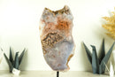 Pink Amethyst Geode Slice with Botryoidal Druzy, Super Extra Grade
