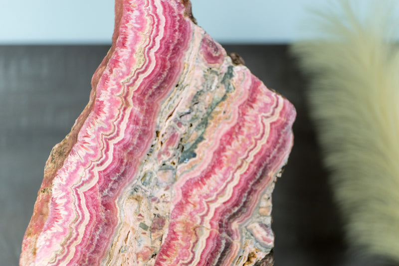 X-Large Rhodochrosite Stalactite Slab from Capillitas Mine, Argentina