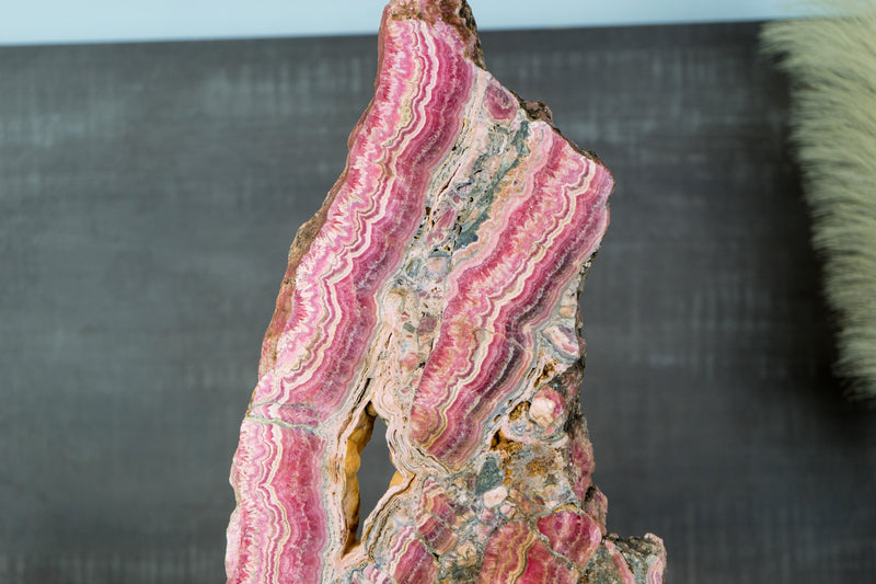 X-Large Rhodochrosite Stalactite Slab from Capillitas Mine, Argentina