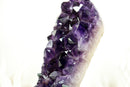 Small Amethyst Cluster with Large, AAA Dark Purple Druzy