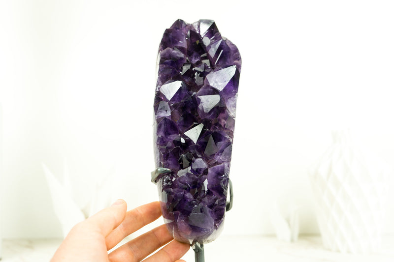 Small Amethyst Cluster with Large, AAA Dark Purple Druzy