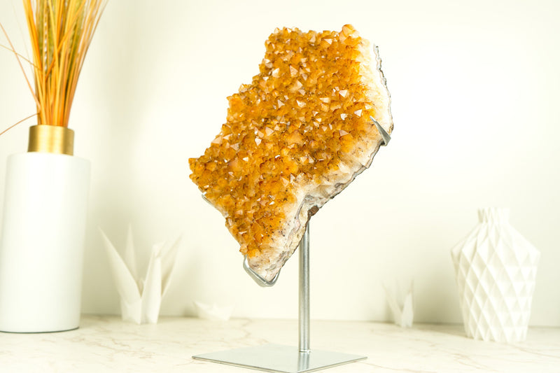 Citrine Crystal with Shiny Golden Yellow Citrine Druzy on Display