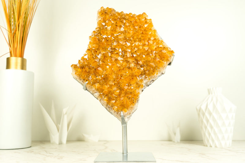 Citrine Crystal with Shiny Golden Yellow Citrine Druzy on Display