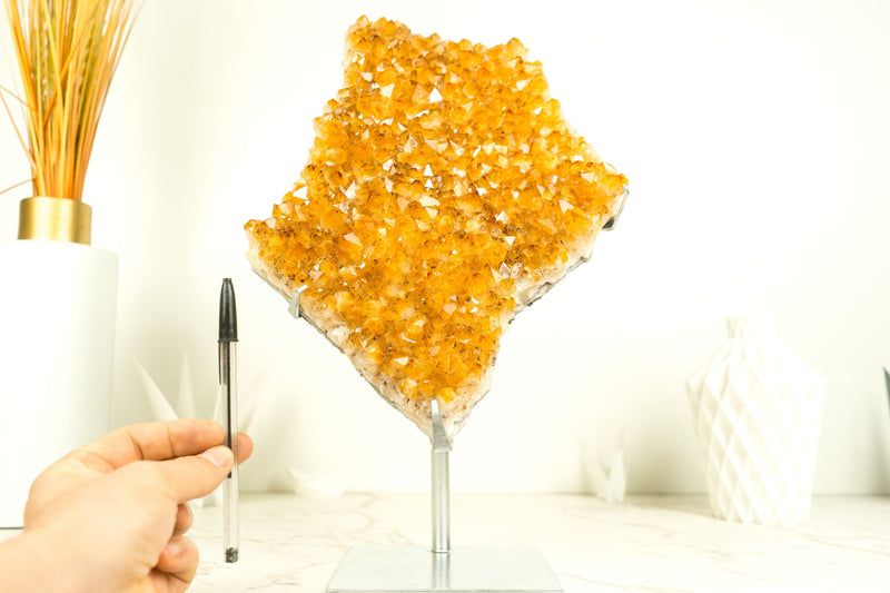 Citrine Crystal with Shiny Golden Yellow Citrine Druzy on Display