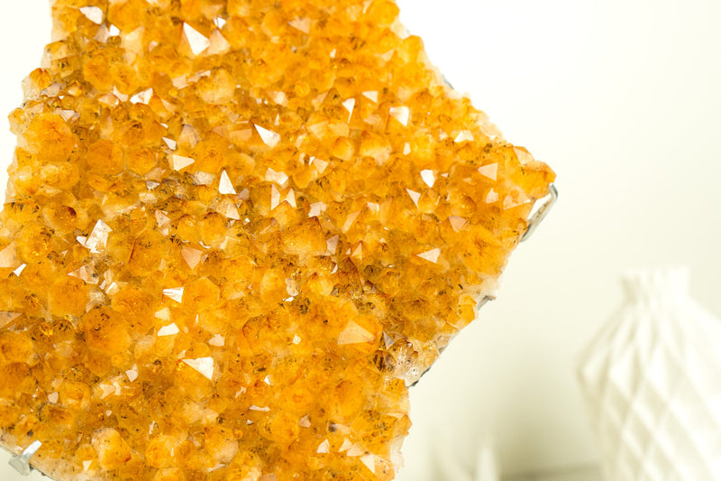 Citrine Crystal with Shiny Golden Yellow Citrine Druzy on Display