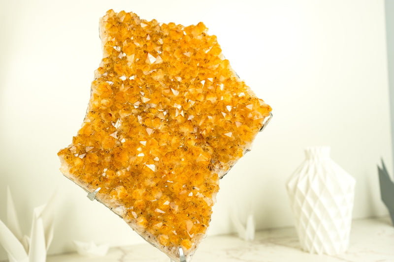 Citrine Crystal with Shiny Golden Yellow Citrine Druzy on Display
