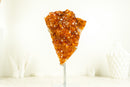 Deep Orange/Red Citrine Cluster (AKA Madeira Citrine) with Flower Rosette