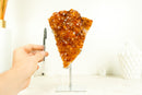 Deep Orange/Red Citrine Cluster (AKA Madeira Citrine) with Flower Rosette