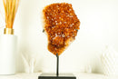 Orange/Reddish Madeira Citrine Cluster with Rare Blooming Flower Rosette - E2D Crystals & Minerals