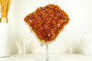 AAA Orange/Reddish Wood Citrine Cluster - 3.8 Kg - 8.4 lb - E2D Crystals & Minerals