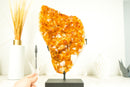 Epic Natural Citrine Cluster with Super Extra, Golden Orange Citrine Crystal Druzy - 29 Lb 17 Inches - E2D Crystals & Minerals