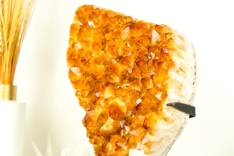 Epic Natural Citrine Cluster with Super Extra, Golden Orange Citrine Crystal Druzy - 29 Lb 17 Inches - E2D Crystals & Minerals