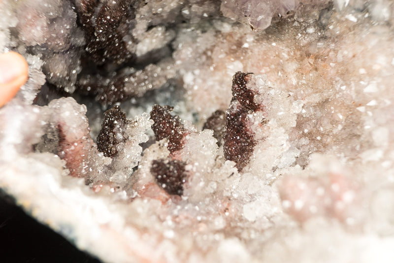 Amethyst-Geode in Galeriequalität mit Hämatit nach Calcit-Punkten